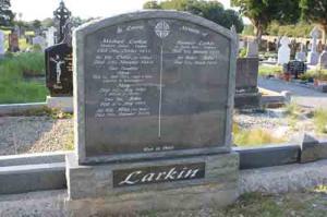 Larkin Michael Woodview House, Tarmon
